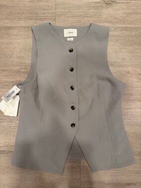 Aritzia Grey Sleeveless Button Front Vest
